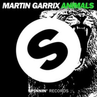 Martin Garrix - Animals (Ricardo Katsuki Edit)