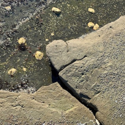 Deconstructing Yourself