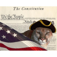 Constitutional Finance 2.0