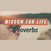 Avoiding The Self-Sabotage Of Foolishness