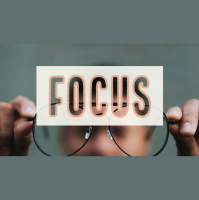 The Focused Life- Psalm 1 