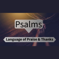 Reasons To Fuel Our Praise 