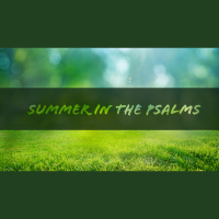 Seeking God In The Wilderness