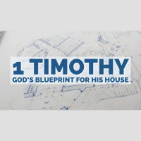 Displays Of Mercy  Grace 