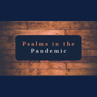 Reasons To Praise God in This Pandemic -Psalm 33