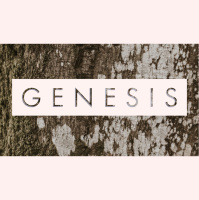 The Providence of God in the Life of Joseph- Keith Dollar