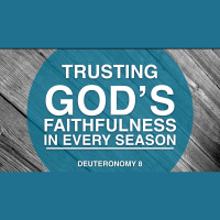 Trusting Gods Faithfulness In Every Season