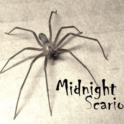 Midnight Scario