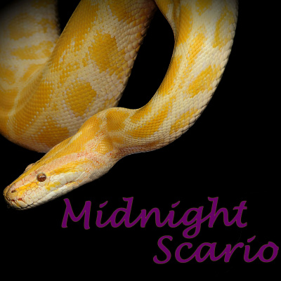 Midnight Scario