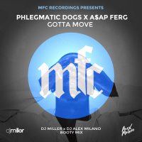 Phlegmatic Dogs x A$AP Ferg - Gotta Move (DJ Miller x DJ Alex Milano Bootymix)