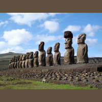 Punta Norte: Ratas de Nueva York