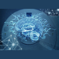 Punta Norte: Sobre el territorio donde habita la consciencia