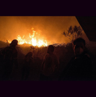 Punta Norte: La época de los incendios ingobernables ha llegado