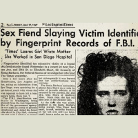 Punta Norte: La dalia negra