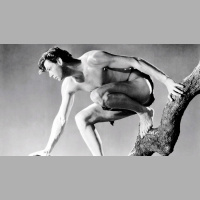  Punta Norte: Lo que no sabíamos de Tarzán