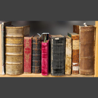 Punta Norte: Las amazonas de libros