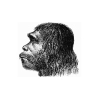 Punta Norte: Tras el rastro del neandertal intacto