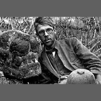 Punta Norte: Un tipo llamado Sylvanus Morley