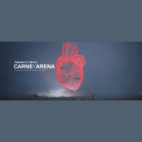 Punta Norte: Carne y arena 