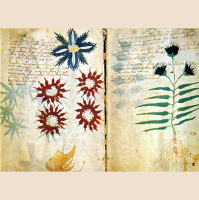 Punta Norte: Sobre la transmutación de piedra filosofal