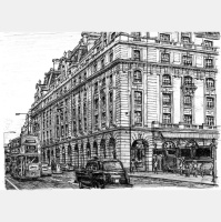 Punta Norte: El síndrome del sabio