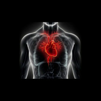 Punta Norte: El algoritmo que predice la muerte 