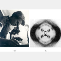 Punta Norte: El robo de la Foto 51