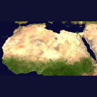 Punta Norte: La Gran Muralla Verde