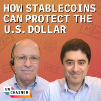 How the U.S. Government Can Protect the Dollar Through Stablecoins - Ep. 655