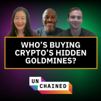 Arthur Hayes and Adam Schlegel on Why Private Equity Is Cryptos Next Big Wave - Ep. 933