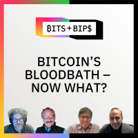 Bits + Bips: Reasons to Be Optimistic After Bitcoin Falls Toward $100K - Ep. 938
