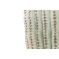 Comment se comporter face à quelqu’un blessé avec un manque total de respect au sein de l’église