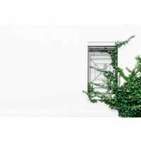 Se défaire de la comparaison, la jalousie, la compétition, échec, envie etc.