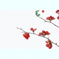 Redécouvrir qui nous sommes en Christ et l’accepter