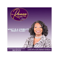 What is a VISIBILITY Profit Plan?