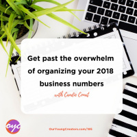185 - Get past the overwhelm of organizing your 2018 business numbers 