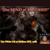 The Mind of the THIEF with Yahya Bandele