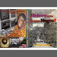 The Negro! Are WE sick MASSA? with Bro. Yahya Bandele