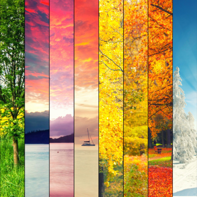 Seven-minute Opinions