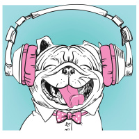 Ep. 33: This week I learned dogs dig reggae, and more