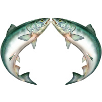 Ep. 71: This week I learned that salmon sex literally moves mountains, and more