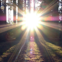 Ep. 24: This week I learned your brain doesnt know the difference between feeling high and feeling spiritual, and more