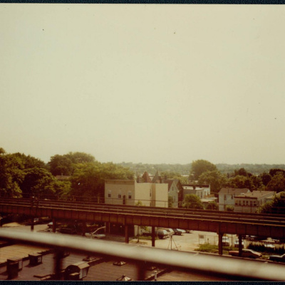 Fish Out Of Agua With Michele Carlo