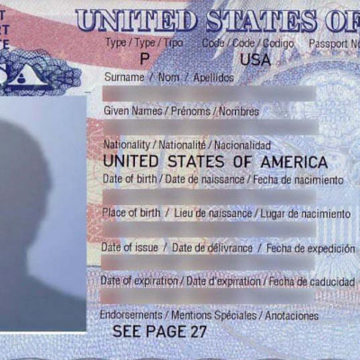 Fish Out Of Agua With Michele Carlo