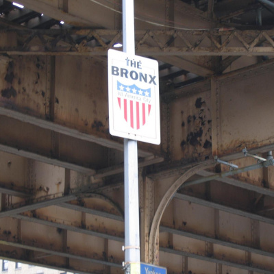 Fish Out Of Agua With Michele Carlo