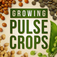 FoA 425: Value-Added Processing And The Future of Plant-Based Proteins With Nicole Atchison of PURIS [Growing Pulse Crops Crossover]