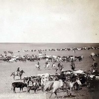 [History of Agriculture] The Great Beef Bonanza and the Fall of the Cattle Kingdom