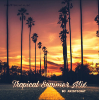 DJ Aristocrat - Tropical Summer Mix (024) 