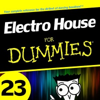 Electro House for Dummies 23
