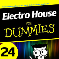 Electro House for Dummies 24